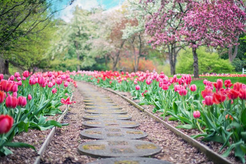 Prolećna staza pored cveća